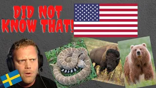 A Swede learns about the most dangerous animals in the US