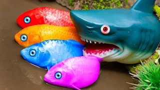 Baby Shark Helps Koi Fish ! Crab, Eel, Fish, Songoku Kungfu Primitive Video STOP MOTION ASMR COOKING