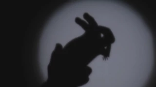 Hand Shadow Theatre