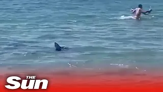 British families flee water as SHARK stalks beach at Spain holiday hotspot