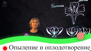 Опыление и оплодотворение. 7 класс.