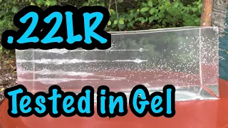 Not What We Expected! Popular .22LR Ammo Tested in Ballistics Gel