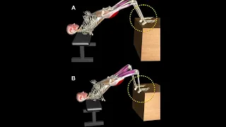 FEET RAISED HIP THRUST variation 📢