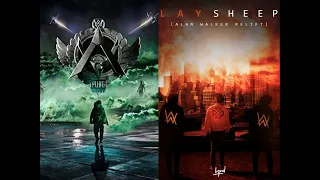 Live Fast For The Sheep (mashup) - Alan Walker - A$AP Rocky - Lay