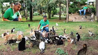 The abandoned cats loved this man so much that they already forgot about their former owners.