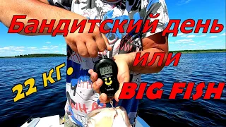 Рыба ГИГАНТ в 22 кг на спиннинг. Воблеры бандит рулят. Войдет ли BIG FISH в подсачек?