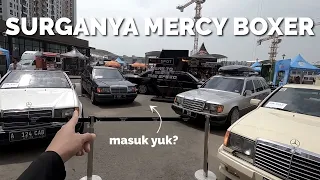 SURGANYA MERCY BOXER, MAS DITO PINDAH HALUAN?