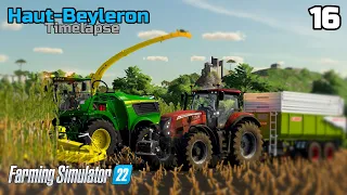 Maize Silage cutting at last | Haut-Beyleron #16 | Farming Simulator 22