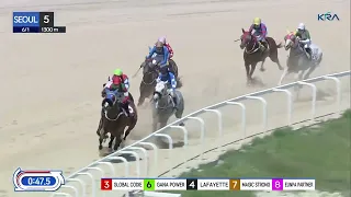 (Seoul) 2024.06.01 R5 Class 5 (1300M) Handicap