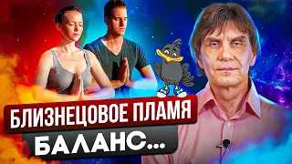 Близнецовые пламена. Часть 4, заключительная