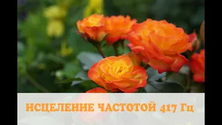 Частоты Сольфеджио: исцеление частотой 417 ГЦ