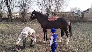 Отбасылық және ұлттық құндылықтарға баулу бойынша Шымырлық пен шеберлік байқауы