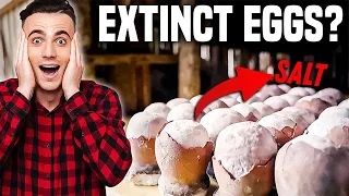 Edible Dinosaur Egg?! Discover this RARE nearly extinct salt!