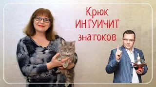 «Училка vs ТВ»: САМЫЕ НЕЛЕПЫЕ ОШИБКИ!