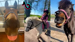 The Cutest HORSES - Equestrian TikTok Compilation #2