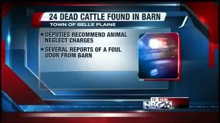 24 Dead Cattle Found in Barn