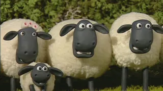 Shaun the Sheep season 1 episode 7