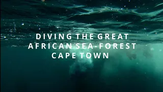 Is this the best scuba diving in Cape Town?? Kelp Forest diving at Millers Point | Pyramid Rock 2022
