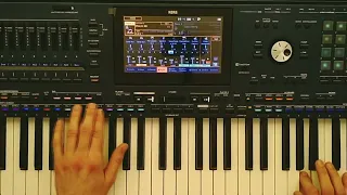 Lian Ross - Say You'll Never New Style ( Korg Pa5x Musikant & Danekoo1 )