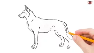 How to Draw a German Shepherd Step by Step Easy for Beginners – Simple Dog Drawing Tutorial