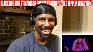 THESE GUYS ARE ROCKSTARS!! | Black Dog Live At Madison Square Garden 73' - Led Zeppelin (Reaction)