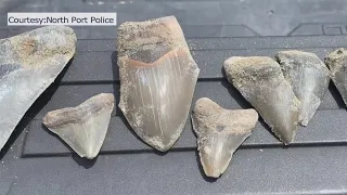 Fossil hunters warned about trespassing in North Port