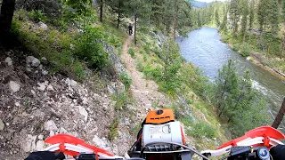 Short Creek Trail | Idaho City Single Track 06/11/22
