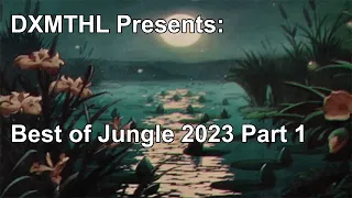 Best Of Jungle 2023 Part 1