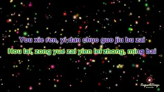 Liu Ruo Ying - Hou Lai (Karaoke Version)