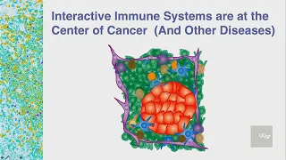 Understanding and Treating Cancer and Other Diseases Through the Immune System