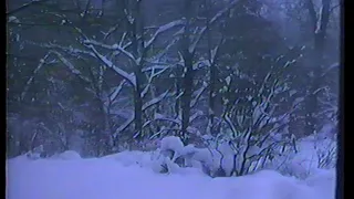 Blizzard, January 4, 1994 - Found Footage, Pittsburgh, PA