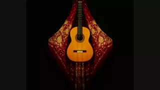 historia de un amor Flamenco