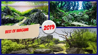 BEST OF IWAGUMI STYLE/ WINNER IAPLC 2019