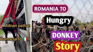 Romania to Italy donkey 2024|| Romania to Italy donkey by taxi|| Romania to Italy donkey by truck