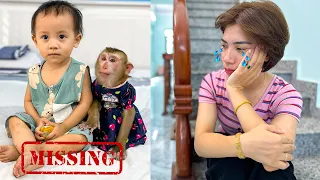 Sad Story: Mom's Tears When Monkey Kaka and Diem Disappeared