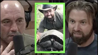 Forrest Galante Rediscovered Extinct Galapagos Tortoise | Joe Rogan