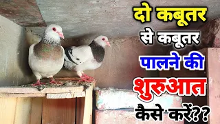 क्या दो कबूतर से कबूतर बाज़ी की शुरुआत कर सकते है?|2 Kabootar Se Kabootar bazi Ki Shuruaat Kr Skte H