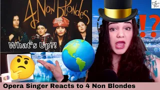 4 Non Blondes - What's Up (Official Music Video) FIRST TIME REACTION | Opera Singer Reacts LIVE