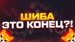 ШИБА - ЭТО КОНЕЦ?! КИТЫ ПРОДАЮТ