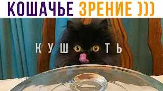 Кошачье зрение))) Лоооол))) Приколы с котами | Мемозг 668