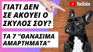 ΓΙΑΤΙ Ο ΣΚΥΛΟΣ ΣΟΥ ΔΕΝ ΣΕ ΑΚΟΥΕΙ - Τα 7 "θανάσιμα αμαρτήματα" που κάνεις κατά την εκπαίδευση του