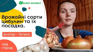 Врожайні сорти та посадка цибулі |  Мій город з Тетяною | AGROMARKET