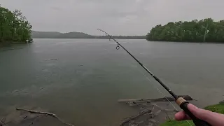 Rainy Day Fishing - Nature Sounds ASMR