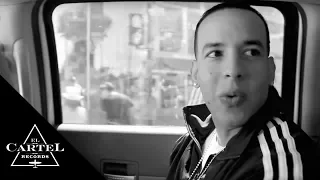 Daddy Yankee - VIÑA DEL MAR 2013 (Behind the Scenes)