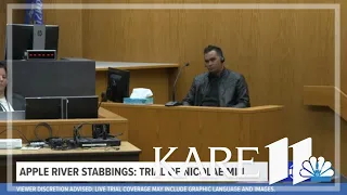 WATCH: Apple River stabbing trial - Day 5 (Morning session)