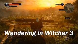 Wandering in The Witcher 3 | ASMR