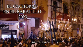 4K || EL CACHORRO SALUDO AL BARATILLO || 2023