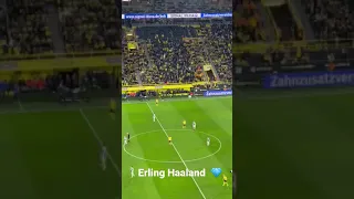 Erling Haaland returned to the game after long time of injury |  Dortmund vs Arminia | 1-0