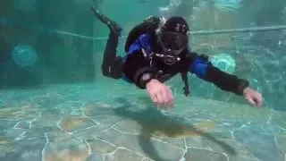 Scuba Skills - Hover