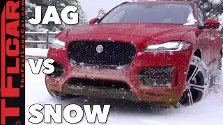 Does This Cat Have Snow Claws? Jaguar F-Pace AWD vs Colorado Blizzard Review